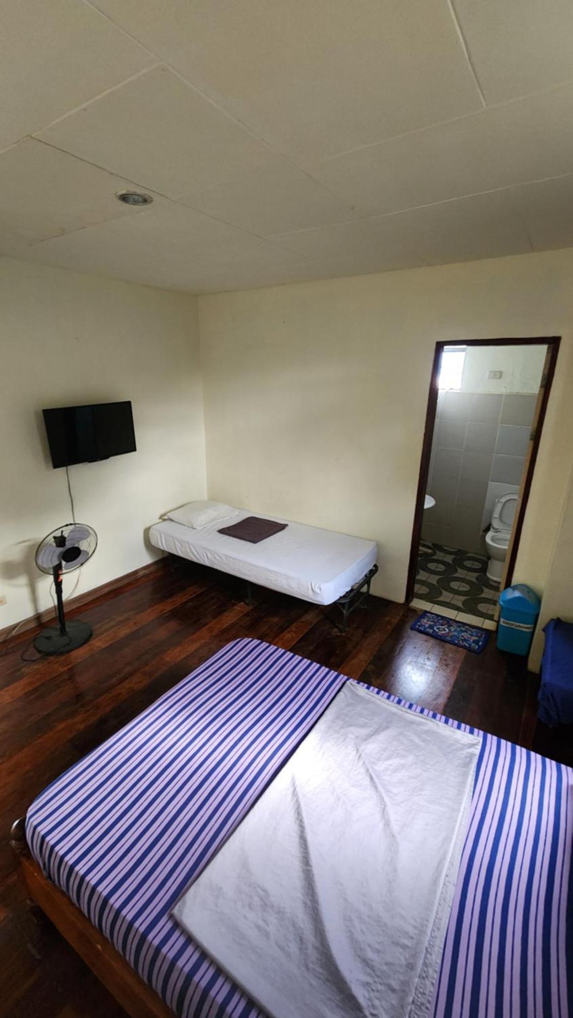 Screaming Gecko Hostel Busuanga Kültér fotó